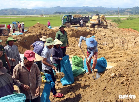 Đê Quảng Điền vỡ, đe dọa hàng ngàn hecta lúa sắp thu hoạch - Ảnh 2. Đê Quảng Điền vỡ, đe dọa hàng ngàn hecta lúa sắp thu hoạch - Ảnh 2.
