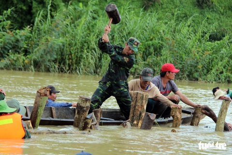Đua với thời gian, hàn đê cứu cả ngàn hecta lúa - Ảnh 7. Đua với thời gian, hàn đê cứu cả ngàn hecta lúa - Ảnh 7.