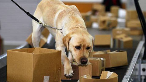 Khoe mẹo tuồn bánh trung thu trứng muối qua mặt hải quan, ăn gạch - Ảnh 2. Khoe mẹo tuồn bánh trung thu trứng muối qua mặt hải quan, ăn gạch - Ảnh 2.