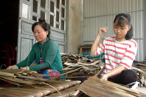 Sự sống mong manh, vẫn băng qua trúng tuyển cao đẳng y - Ảnh 1. Sự sống mong manh, vẫn băng qua trúng tuyển cao đẳng y - Ảnh 1.