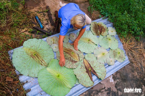 Những bức tranh được làm bằng lá sen mục và vỏ tràm - Ảnh 5. Những bức tranh được làm bằng lá sen mục và vỏ tràm - Ảnh 5.