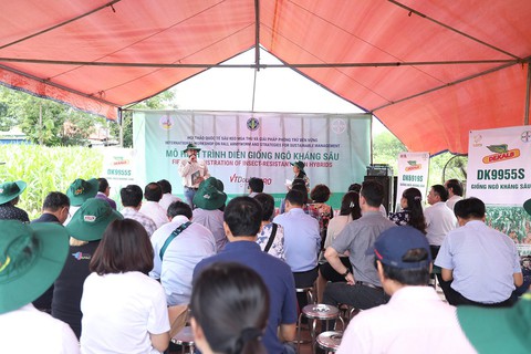 Chuyên gia tới Việt Nam tìm hiểu giải pháp phòng trừ sâu keo - Ảnh 2. Chuyên gia tới Việt Nam tìm hiểu giải pháp phòng trừ sâu keo - Ảnh 2.