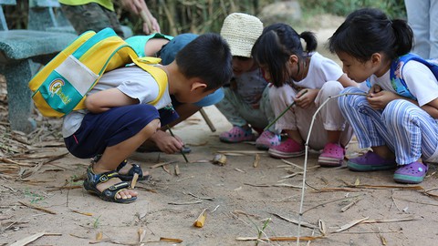 Cho con chạm vào thiên nhiên - Ảnh 1. Cho con chạm vào thiên nhiên - Ảnh 1.