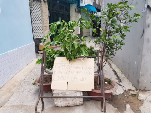 Anh tôi chết tức tưởi quá - Ảnh 3. Anh tôi chết tức tưởi quá - Ảnh 3.