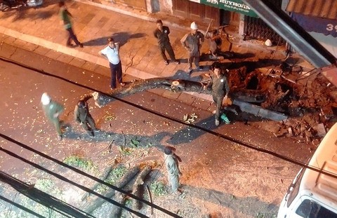 Chặt hạ khẩn cây sưa đỏ trên phố cổ Hà Nội vì đổ nghiêng - Ảnh 1. Chặt hạ khẩn cây sưa đỏ trên phố cổ Hà Nội vì đổ nghiêng - Ảnh 1.