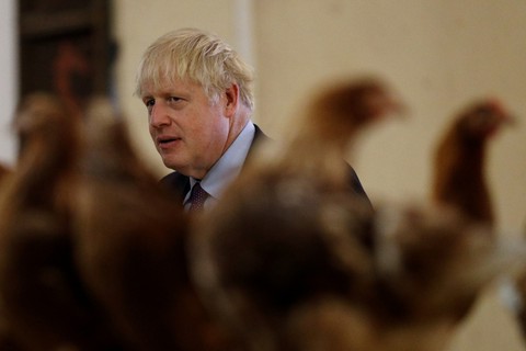 Brexit không thỏa thuận, Anh sẽ thiếu hụt năng lượng, thực phẩm - Ảnh 1. Brexit không thỏa thuận, Anh sẽ thiếu hụt năng lượng, thực phẩm - Ảnh 1.
