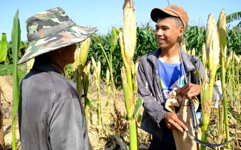 Đốm sáng trong ngôi nhà tăm tối - Ảnh 5. Đốm sáng trong ngôi nhà tăm tối - Ảnh 5.