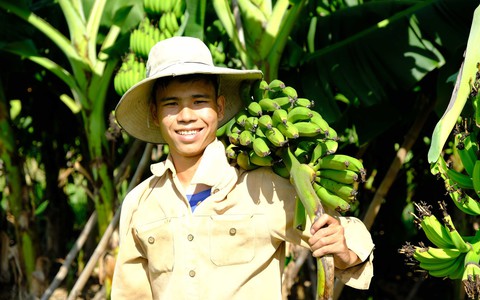Đốm sáng trong ngôi nhà tăm tối - Ảnh 4. Đốm sáng trong ngôi nhà tăm tối - Ảnh 4.