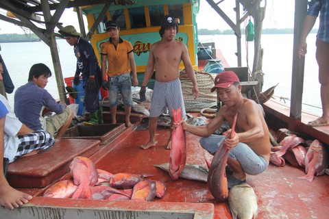 Ngư dân Việt Nam kể chuyện cứu 22 thuyền viên Philippines bị tàu Trung Quốc đâm - Ảnh 6. Ngư dân Việt Nam kể chuyện cứu 22 thuyền viên Philippines bị tàu Trung Quốc đâm - Ảnh 6.