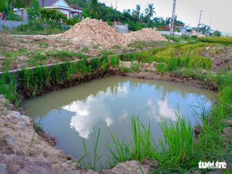 Điện lực Nghệ An rút kinh nghiệm vụ bé trai rớt hố cột điện chết đuối - Ảnh 1. Điện lực Nghệ An rút kinh nghiệm vụ bé trai rớt hố cột điện chết đuối - Ảnh 1.