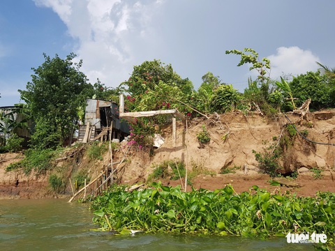 Hà bá lại đe dọa tỉnh lộ 953, An Giang ban bố tình huống khẩn cấp - Ảnh 3. Hà bá lại đe dọa tỉnh lộ 953, An Giang ban bố tình huống khẩn cấp - Ảnh 3.
