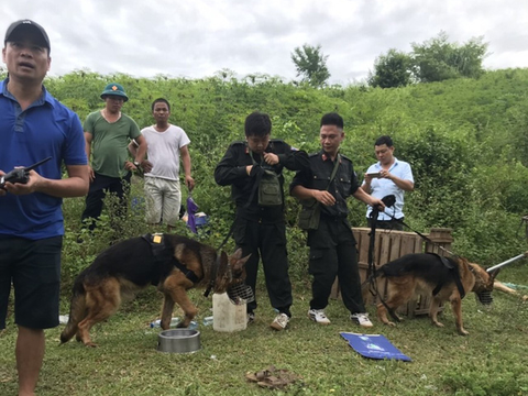 Nghi phạm giết vợ qua mặt được cả chó nghiệp vụ, tự ra đầu thú - Ảnh 2. Nghi phạm giết vợ qua mặt được cả chó nghiệp vụ, tự ra đầu thú - Ảnh 2.