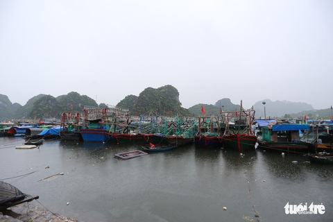 Đảm bảo an toàn cho hầm lò khai thác vì hoàn lưu bão số 3 gây mưa lớn - Ảnh 8. Đảm bảo an toàn cho hầm lò khai thác vì hoàn lưu bão số 3 gây mưa lớn - Ảnh 8.