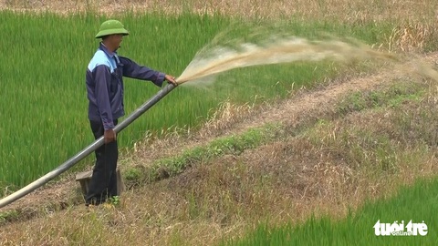 Nghịch lý ở Đắk Lắk: Hơn 1.000ha cây trồng chết khát trong khi nhiều khu vực ngập lụt - Ảnh 5. Nghịch lý ở Đắk Lắk: Hơn 1.000ha cây trồng chết khát trong khi nhiều khu vực ngập lụt - Ảnh 5.