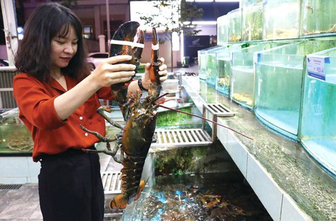 Thương chiến Trung - Mỹ leo thang: Để giảm bớt những hệ lụy - Ảnh 1. Thương chiến Trung - Mỹ leo thang: Để giảm bớt những hệ lụy - Ảnh 1.
