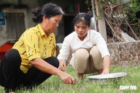Rớt nước mắt nữ sinh điểm cao đóng khung giấy báo nhập học làm kỷ niệm - Ảnh 1. Rớt nước mắt nữ sinh điểm cao đóng khung giấy báo nhập học làm kỷ niệm - Ảnh 1.