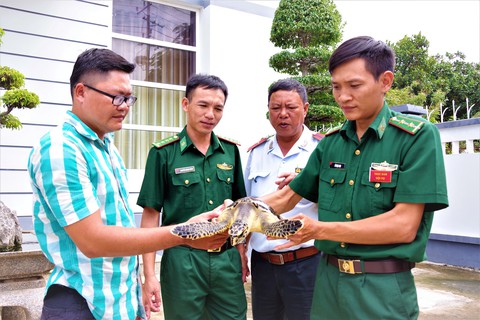 Đang đi qua cầu thấy rao bán đồi mồi, bỏ ra 1,8 triệu mua... thả về biển - Ảnh 1. Đang đi qua cầu thấy rao bán đồi mồi, bỏ ra 1,8 triệu mua... thả về biển - Ảnh 1.