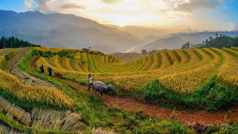 Mù Cang Chải muốn làm du lịch có văn hóa - Ảnh 1. Mù Cang Chải muốn làm du lịch có văn hóa - Ảnh 1.