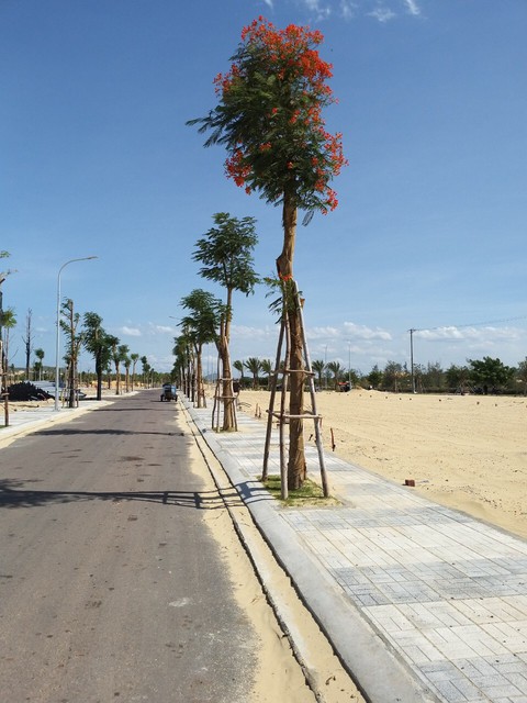 Bất động sản Quy Nhơn: Nhiều lực đỡ hình thành xu hướng - Ảnh 2. Bất động sản Quy Nhơn: Nhiều lực đỡ hình thành xu hướng - Ảnh 2.