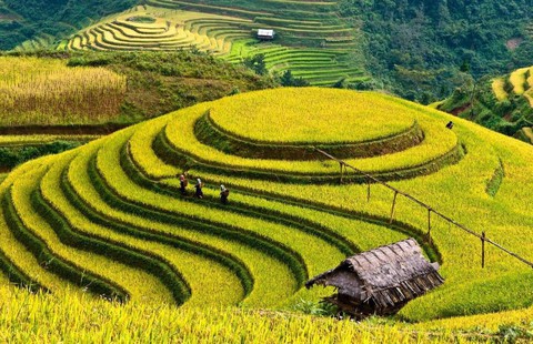 Yên Bái: Lễ hội Văn hóa, du lịch Mường Lò - Ảnh 1. Yên Bái: Lễ hội Văn hóa, du lịch Mường Lò - Ảnh 1.