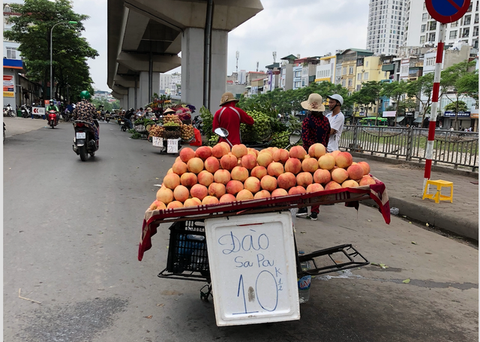 Đào Sa Pa to mọng bán đầy đường thực ra là đào gì? - Ảnh 1. Đào Sa Pa to mọng bán đầy đường thực ra là đào gì? - Ảnh 1.