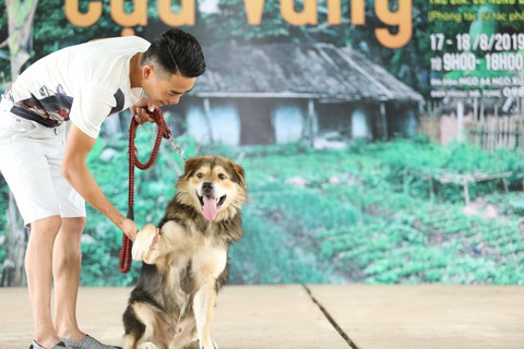 Cậu Vàng của Nam Cao: Phim Việt đầu tiên vai chính là một chú chó - Ảnh 6. Cậu Vàng của Nam Cao: Phim Việt đầu tiên vai chính là một chú chó - Ảnh 6.