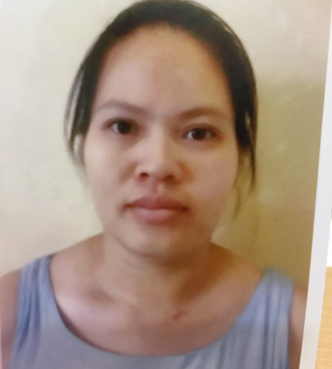 Nữ quái môi giới đẻ thuê với Việt kiều Đức giá gần nửa tỉ - Ảnh 1. Nữ quái môi giới đẻ thuê với Việt kiều Đức giá gần nửa tỉ - Ảnh 1.
