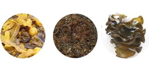 Liệu pháp tăng cường miễn dịch tự nhiên - Ảnh 1. Liệu pháp tăng cường miễn dịch tự nhiên - Ảnh 1.