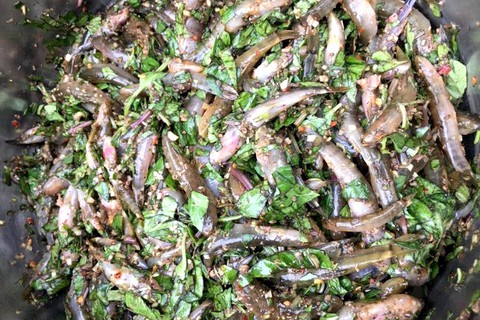 Cá bống suối nướng vùi ngon từ thịt ngọt từ xương - Ảnh 3. Cá bống suối nướng vùi ngon từ thịt ngọt từ xương - Ảnh 3.