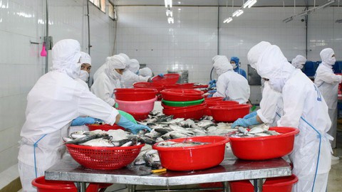 Chính sách hay nhưng không được hưởng - Ảnh 1. Chính sách hay nhưng không được hưởng - Ảnh 1.