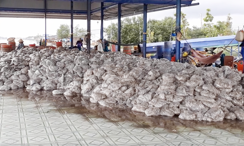 Dân bức xúc vì nhà máy bột cá gây ô nhiễm - Ảnh 1. Dân bức xúc vì nhà máy bột cá gây ô nhiễm - Ảnh 1.