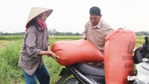 Nông dân Nghệ An hối hả thu hoạch lúa ‘chạy’ bão số 4 - Ảnh 6. Nông dân Nghệ An hối hả thu hoạch lúa ‘chạy’ bão số 4 - Ảnh 6.