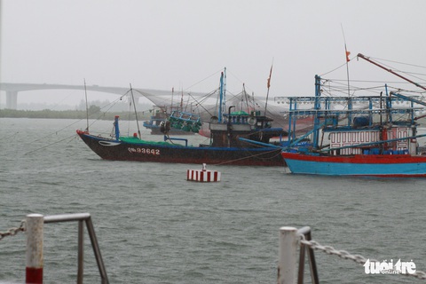 Dừng hoạt động tàu ra vào Cù Lao Chàm, đưa 125 người vào bờ - Ảnh 6. Dừng hoạt động tàu ra vào Cù Lao Chàm, đưa 125 người vào bờ - Ảnh 6.