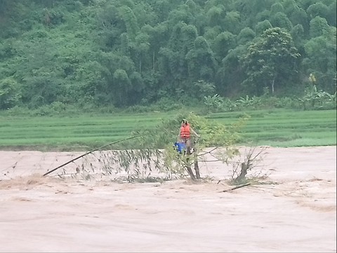 Chàng trai cứu người trong lũ dữ rồi tự cứu mình khi kẹt ở ngọn cây - Ảnh 3. Chàng trai cứu người trong lũ dữ rồi tự cứu mình khi kẹt ở ngọn cây - Ảnh 3.