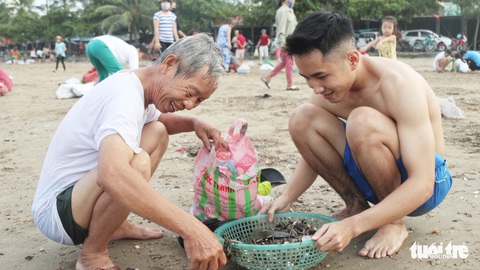 Cả trăm người dân, du khách tụ về bờ biển nhặt sò, ngao sau bão số 4 - Ảnh 4. Cả trăm người dân, du khách tụ về bờ biển nhặt sò, ngao sau bão số 4 - Ảnh 4.