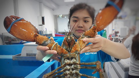 Hải sản ngoại độc, lạ, đi máy bay về Việt Nam - Ảnh 1. Hải sản ngoại độc, lạ, đi máy bay về Việt Nam - Ảnh 1.