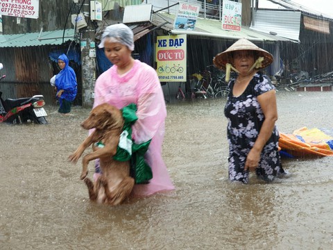 Hình ảnh đảo ngọc Phú Quốc thành đảo ngập chưa từng thấy - Ảnh 10. Hình ảnh đảo ngọc Phú Quốc thành đảo ngập chưa từng thấy - Ảnh 10.