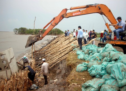 Cà Mau đánh chìm sà lan ngăn sạt lở đê biển Tây - Ảnh 1. Cà Mau đánh chìm sà lan ngăn sạt lở đê biển Tây - Ảnh 1.