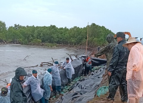 Nhiều xóm làng miền Tây tan tác vì sạt lở - Ảnh 2. Nhiều xóm làng miền Tây tan tác vì sạt lở - Ảnh 2.