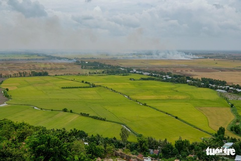 Mướt mắt với sắc màu vụ mùa ngắm từ đỉnh Núi Sam - Ảnh 1. Mướt mắt với sắc màu vụ mùa ngắm từ đỉnh Núi Sam - Ảnh 1.