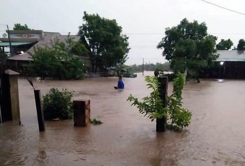 Mưa to kéo dài, hàng trăm ngôi nhà ở huyện biên giới Ea Súp bị ngập chìm - Ảnh 2. Mưa to kéo dài, hàng trăm ngôi nhà ở huyện biên giới Ea Súp bị ngập chìm - Ảnh 2.