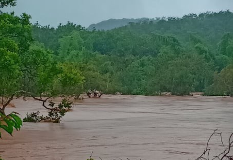 Cứu người mắc kẹt trên cây nhiều giờ trong lũ dữ - Ảnh 1. Cứu người mắc kẹt trên cây nhiều giờ trong lũ dữ - Ảnh 1.