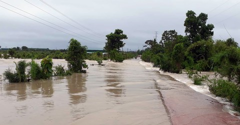 Mưa to kéo dài, hàng trăm ngôi nhà ở huyện biên giới Ea Súp bị ngập chìm - Ảnh 6. Mưa to kéo dài, hàng trăm ngôi nhà ở huyện biên giới Ea Súp bị ngập chìm - Ảnh 6.