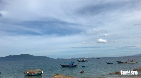 Sủng Cỏ thiên đường hoang sơ nơi cửa vịnh Đà Nẵng - Ảnh 6.