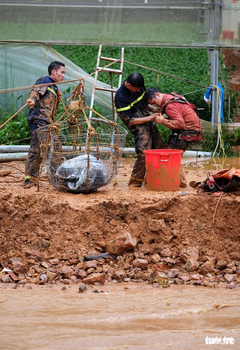 Đu dây giải cứu 41 người bị kẹt trong lũ ở Lâm Đồng - Ảnh 5. Đu dây giải cứu 41 người bị kẹt trong lũ ở Lâm Đồng - Ảnh 5.