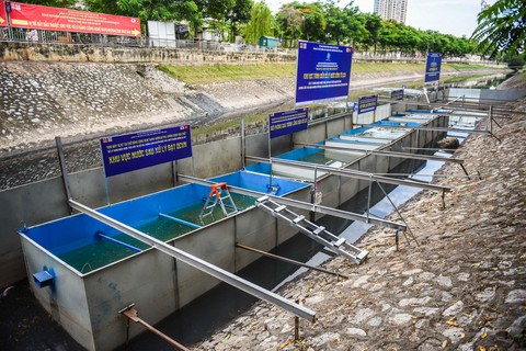 Chuyên gia Nhật Bản tắm sông Tô Lịch sau xử lý - Ảnh 5. Chuyên gia Nhật Bản tắm sông Tô Lịch sau xử lý - Ảnh 5.
