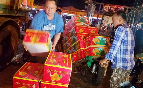 traicaytrungquoc traicaytrungquoc