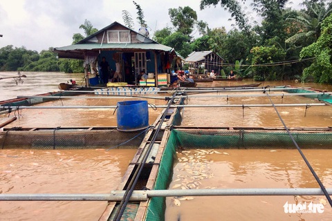Di dời hàng trăm hộ dân khỏi khu vực ngập lụt ven sông Đồng Nai - Ảnh 1. Di dời hàng trăm hộ dân khỏi khu vực ngập lụt ven sông Đồng Nai - Ảnh 1.