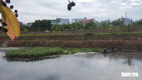 Cá chết trắng hàng tấn trên hồ Hòa Phú, Đà Nẵng - Ảnh 2. Cá chết trắng hàng tấn trên hồ Hòa Phú, Đà Nẵng - Ảnh 2.