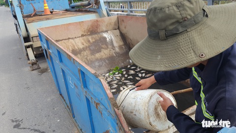 Cá chết trắng hàng tấn trên hồ Hòa Phú, Đà Nẵng - Ảnh 5. Cá chết trắng hàng tấn trên hồ Hòa Phú, Đà Nẵng - Ảnh 5.